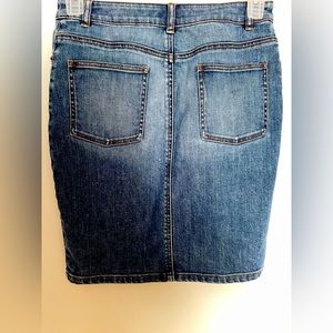 The Limited Blue Denim Mini